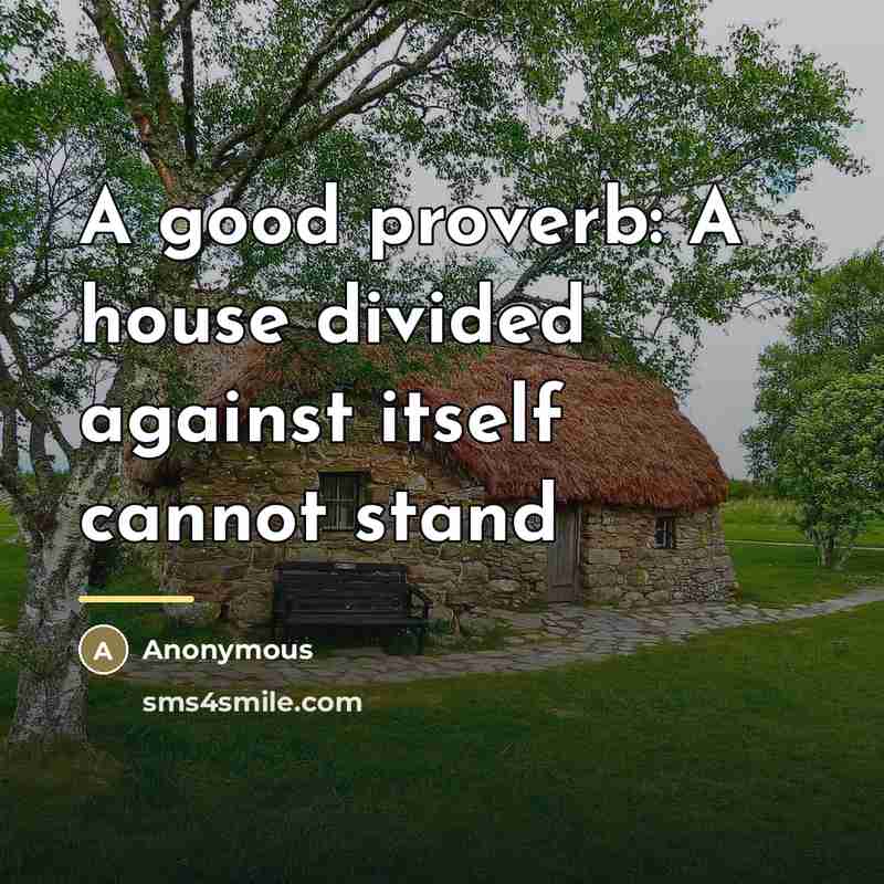 “A good proverb: A house divided against itself cannot stand…” quote by Anonymous