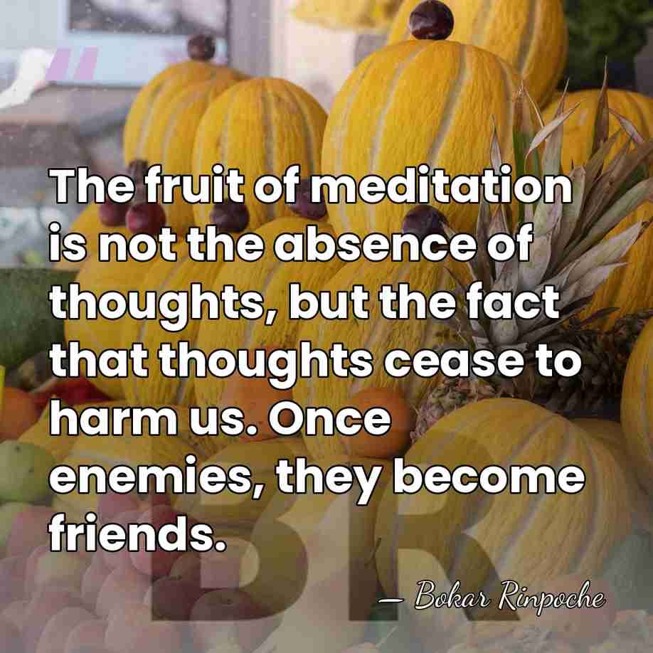 The fruit of meditation is not the absence of thoughts, but the&hellip; - Bokar Rinpoche
