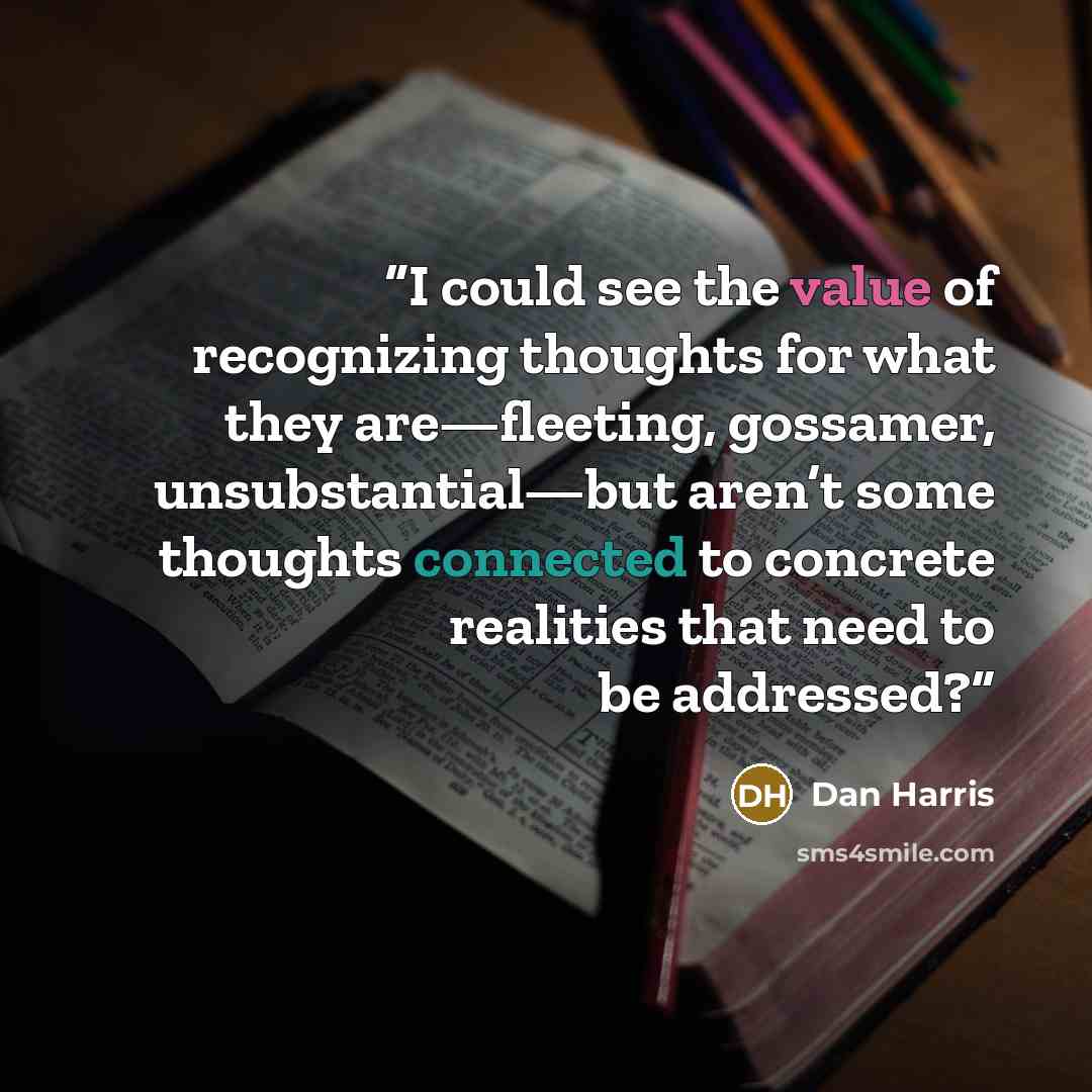 “I could see the value of recognizing thoughts for what they are—fleeting, gossamer, unsubstantial—but aren’t some thoughts connected to concrete realities that need to be addressed?” quote by Dan Harris