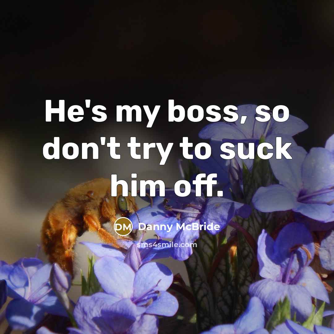 “He's my boss, so don't try to suck him off.” quote by Danny Mcbride