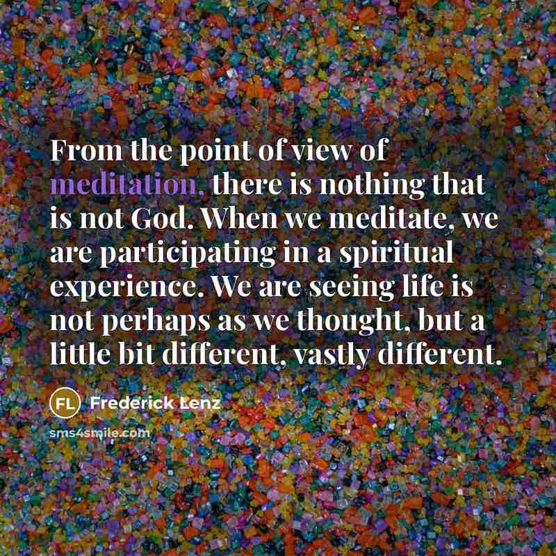 “From the point of view of meditation, there is nothing…” quote by Frederick Lenz