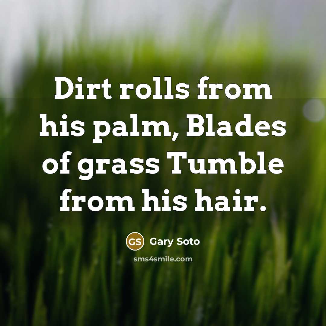 “Dirt rolls from his palm, Blades of grass Tumble from…” quote by Gary Soto