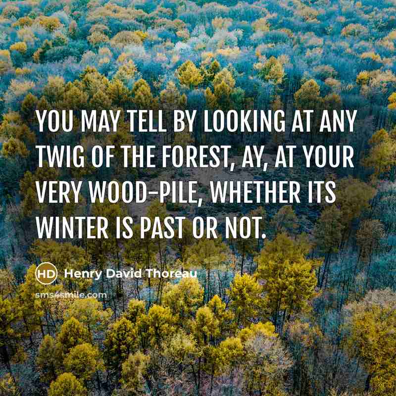 “You may tell by looking at any twig of the…” quote by Henry David Thoreau