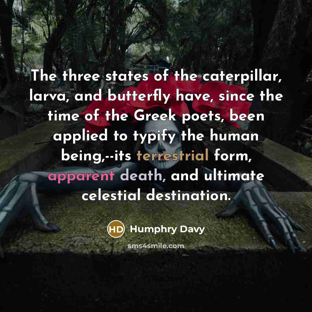 “The three states of the caterpillar, larva, and butterfly have,…” quote by Humphry Davy