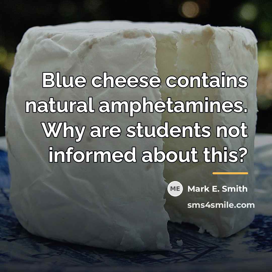 “Blue cheese contains natural amphetamines. Why are students not informed…” quote by Mark E. Smith