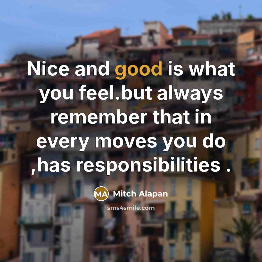 “Nice and good is what you feel.but always remember that…” quote by Mitch Alapan