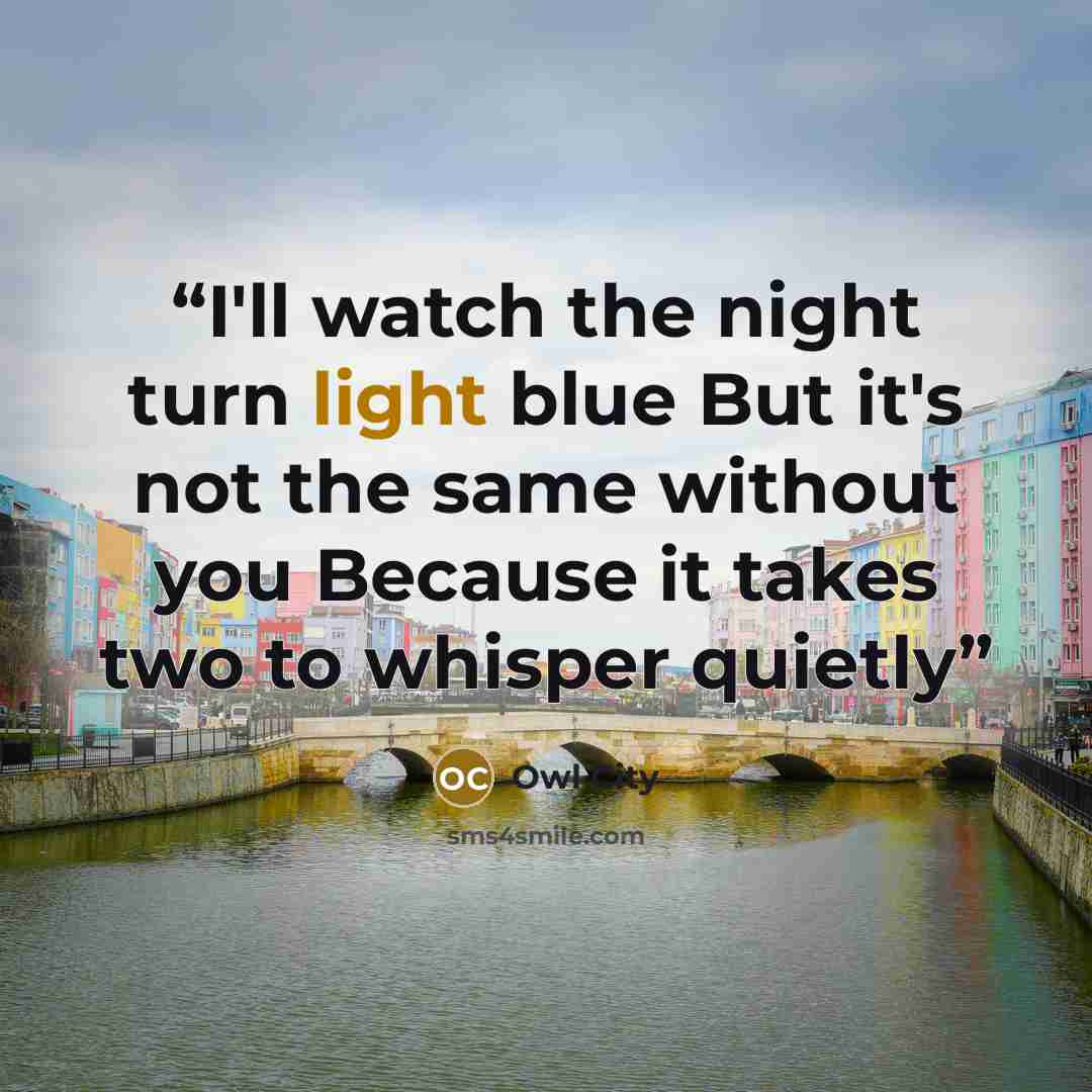 “I'll watch the night turn light blue But it's not the same without you Because it takes two to whisper quietly” quote by Owl City