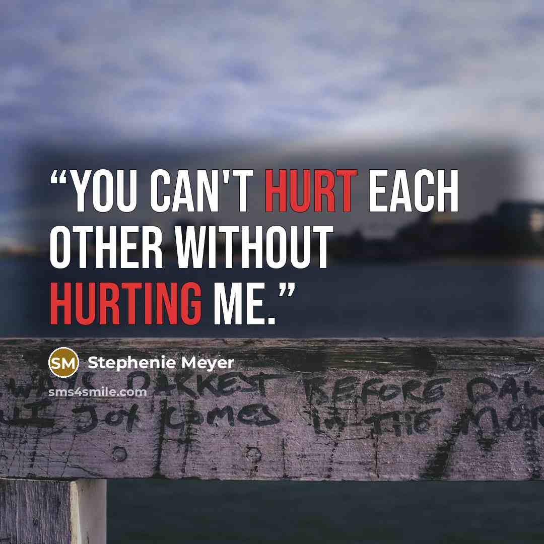 “You can't hurt each other without hurting me.” quote by Stephenie Meyer
