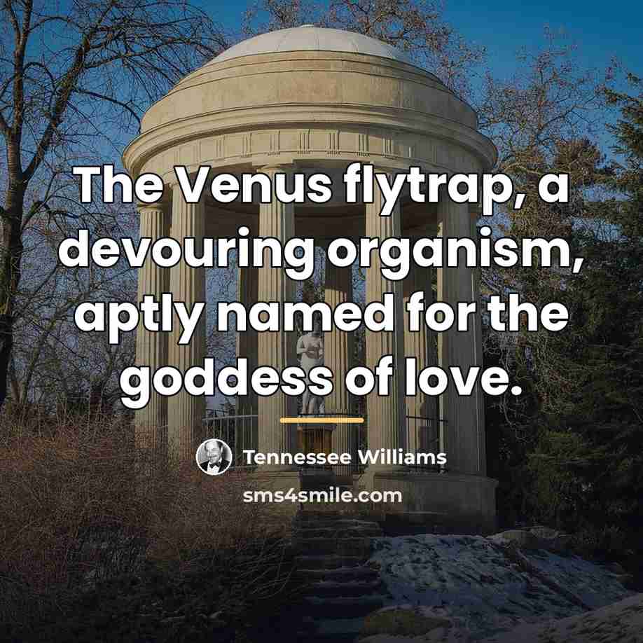 “The Venus flytrap, a devouring organism, aptly named for the…” quote by Tennessee Williams