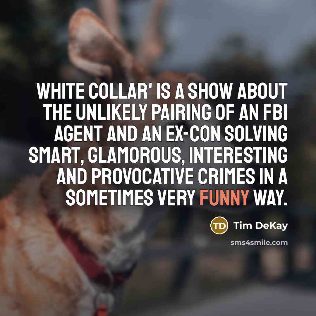 “White Collar' is a show about the unlikely pairing of…” quote by Tim DeKay