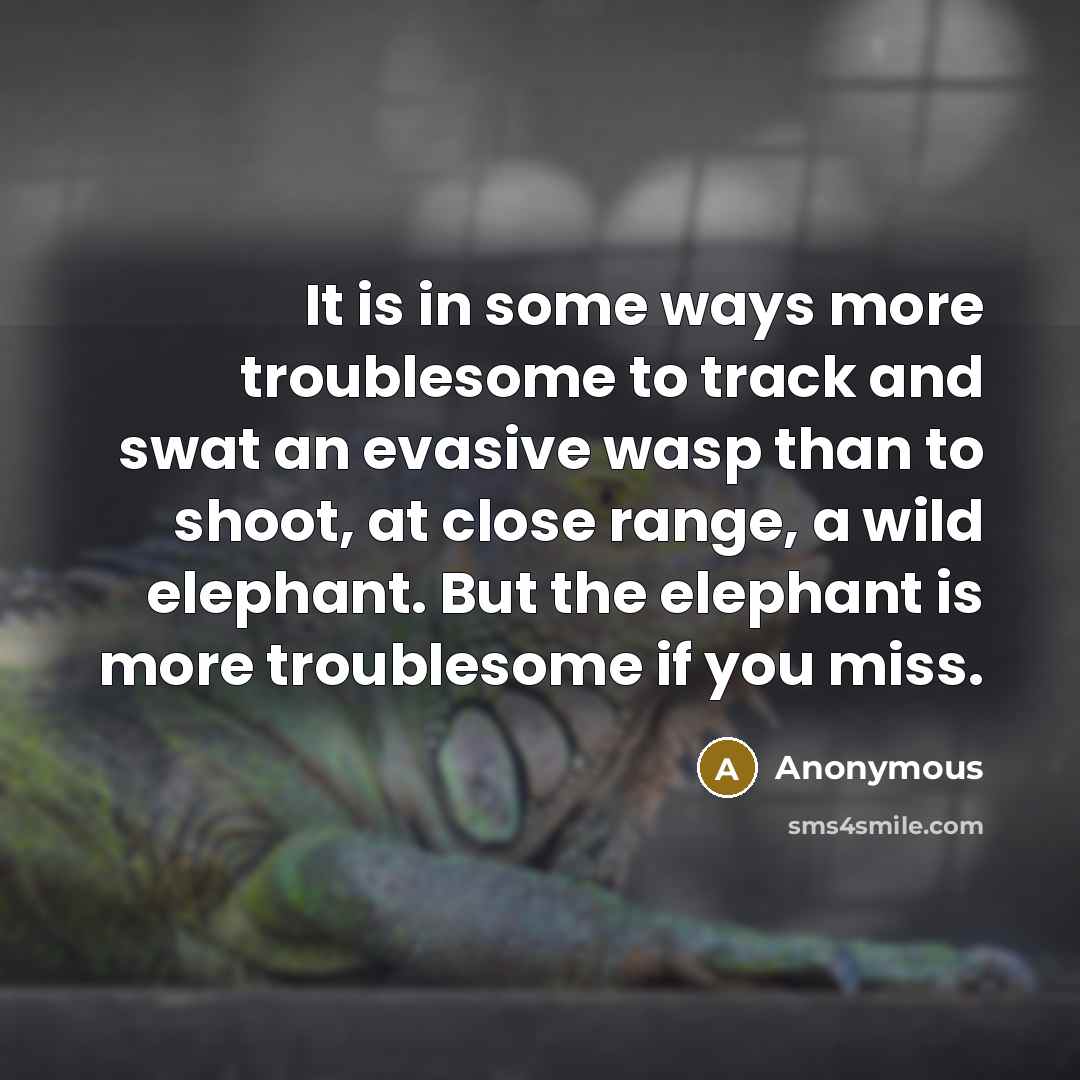 “It is in some ways more troublesome to track and swat an evasive wasp than to shoot, at close range, a wild elephant. But the elephant is more troublesome if you miss.” quote by Anonymous