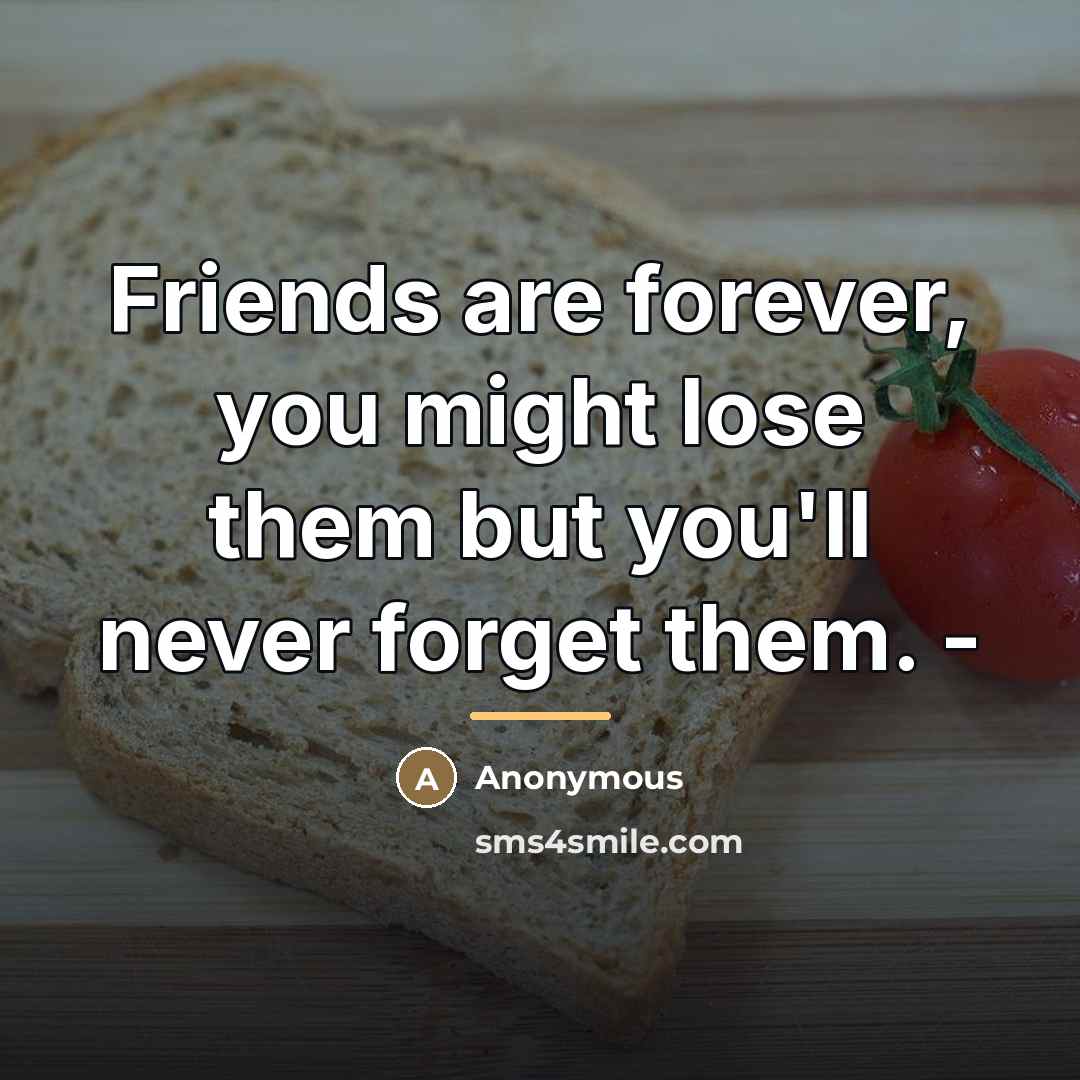 “Friends are forever, you might lose them but you'll never…” quote by Anonymous
