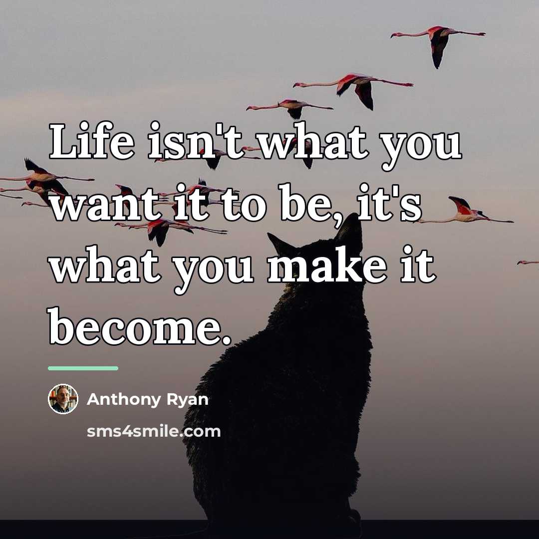“Life isn't what you want it to be, it's what…” quote by Anthony Ryan