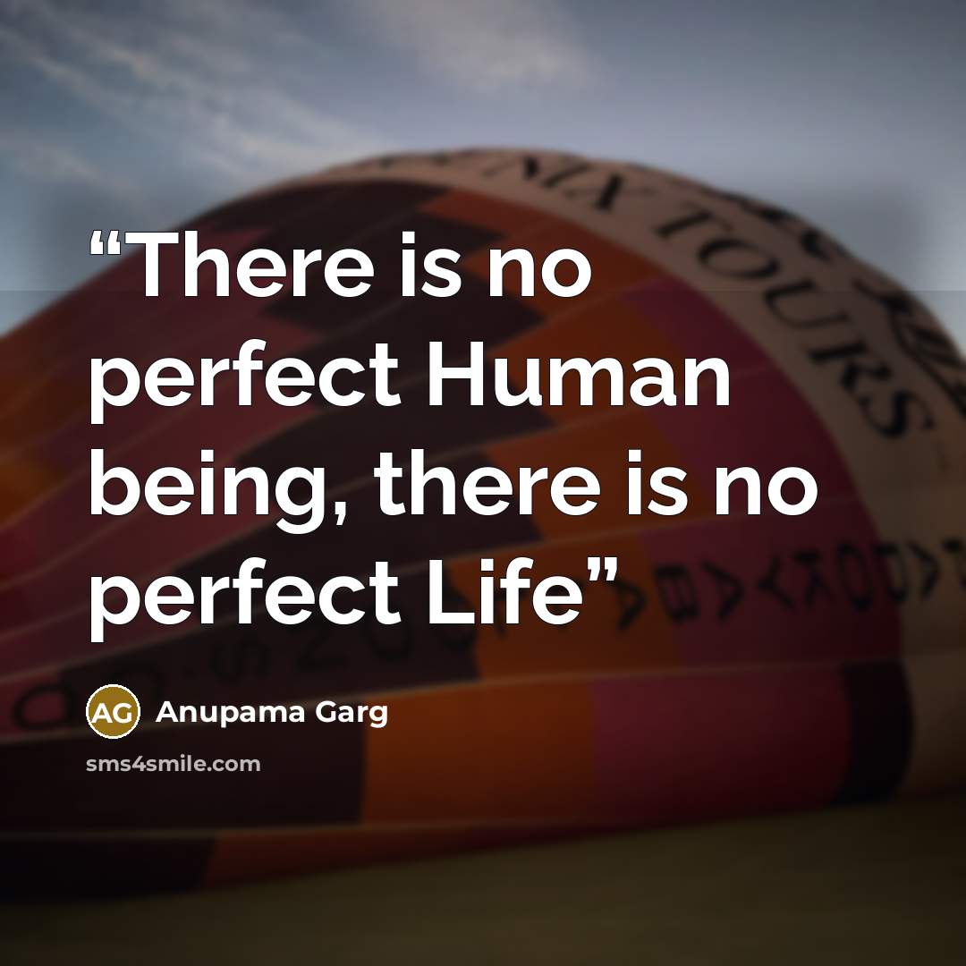 “There is no perfect Human being, there is no perfect Life” quote by Anupama Garg