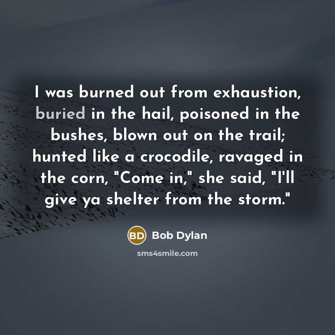 “I was burned out from exhaustion, buried in the hail,…” quote by Bob Dylan