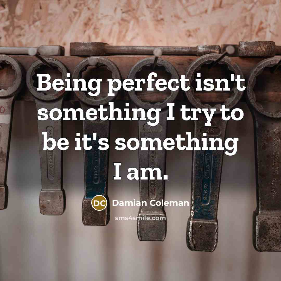 “Being perfect isn't something I try to be it's something…” quote by Damian Coleman