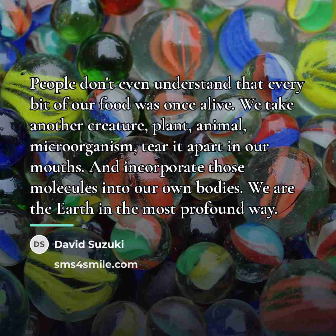 “People don't even understand that every bit of our food…” quote by David Suzuki