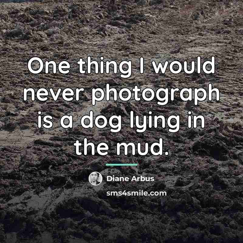 “One thing I would never photograph is a dog lying…” quote by Diane Arbus
