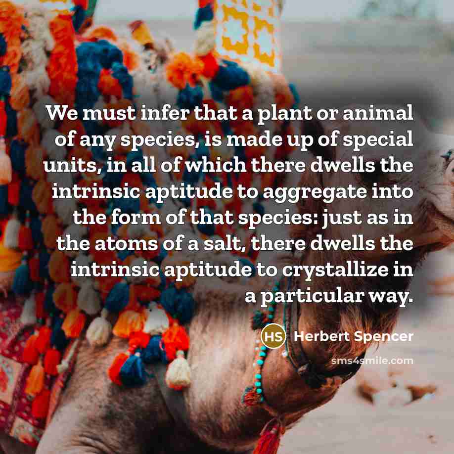 “We must infer that a plant or animal of any…” quote by Herbert Spencer