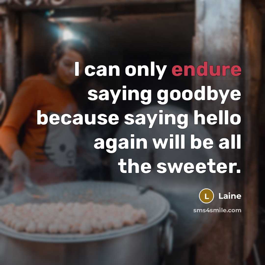 “I can only endure saying goodbye because saying hello again…” quote by Laine