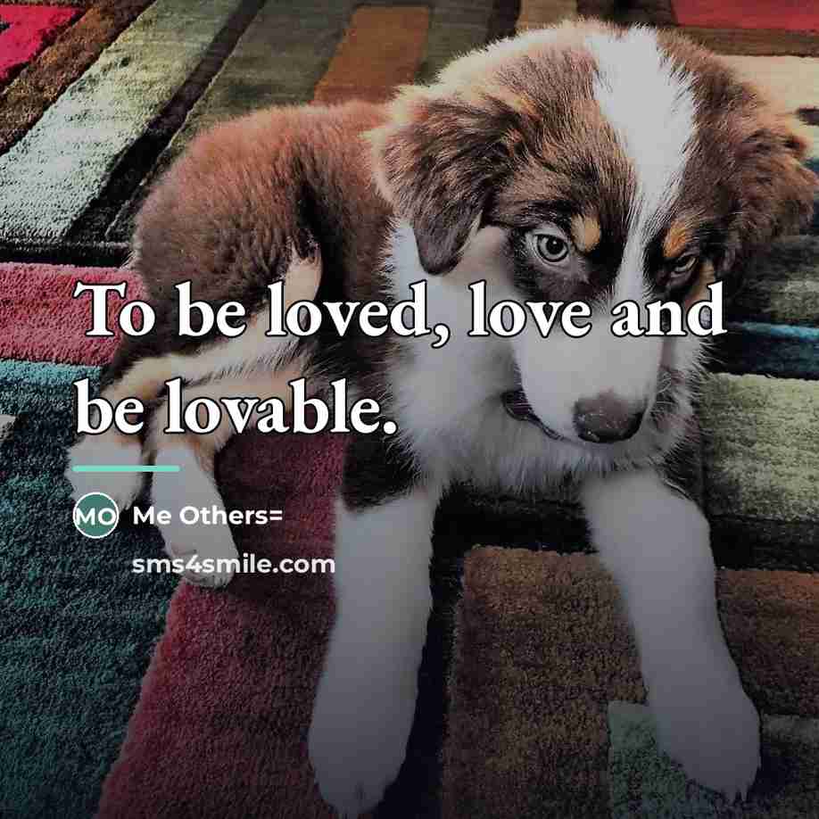 “To be loved, love and be lovable.…” quote by Anonymous