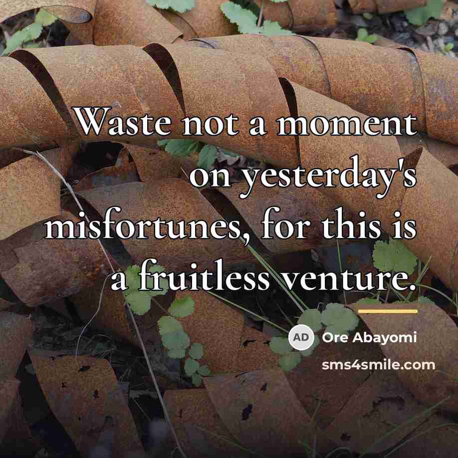 “Waste not a moment on yesterday's misfortunes, for this is…” quote by Ore Abayomi