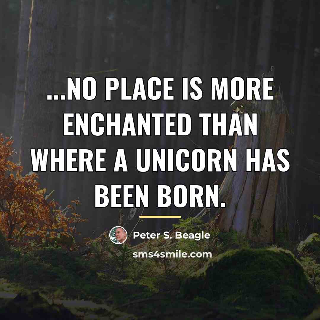 “...no place is more enchanted than where a unicorn has…” quote by Peter S. Beagle