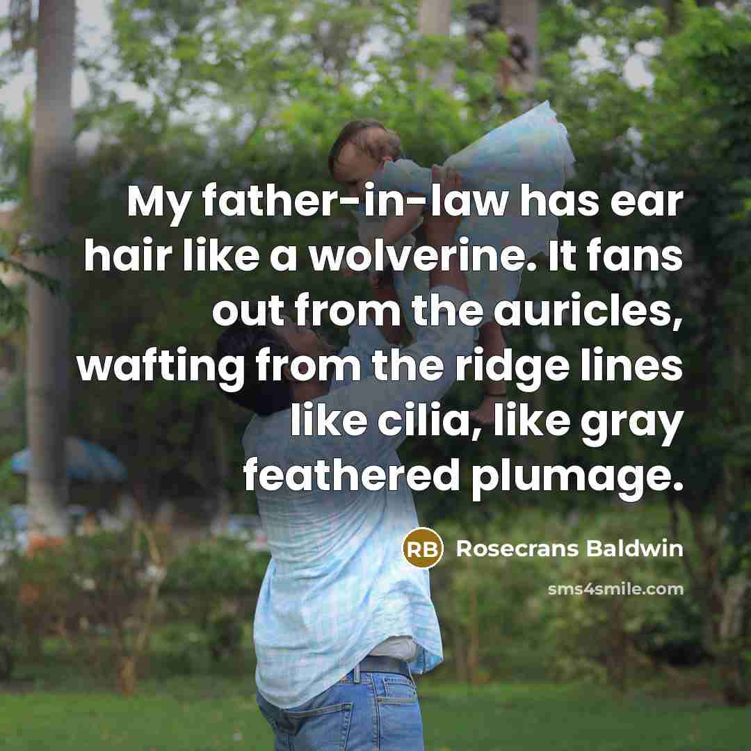“My father-in-law has ear hair like a wolverine. It fans…” quote by Rosecrans Baldwin