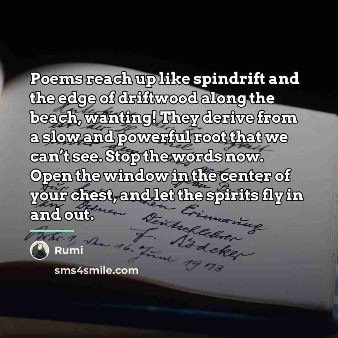 “Poems reach up like spindrift and the edge of driftwood…” quote by Rumi