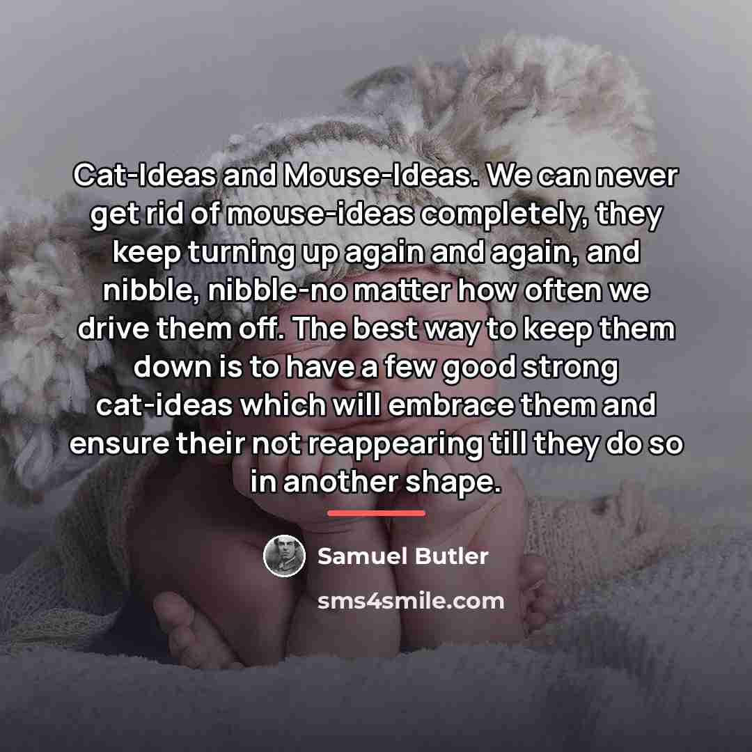 “Cat-Ideas and Mouse-Ideas. We can never get rid of mouse-ideas…” quote by Samuel Butler