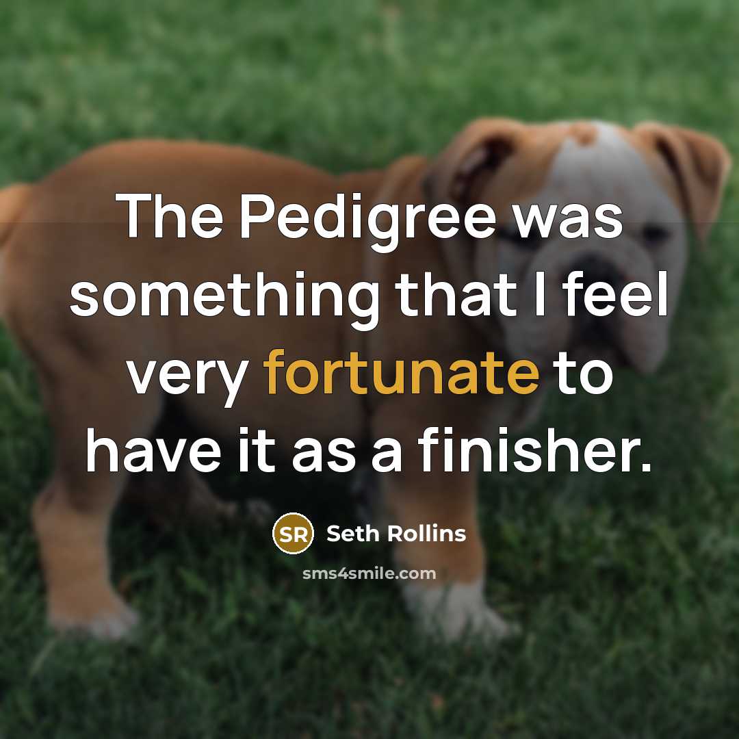 “The Pedigree was something that I feel very fortunate to…” quote by Seth Rollins