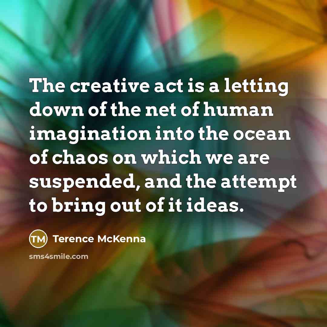 “The creative act is a letting down of the net…” quote by Terence McKenna
