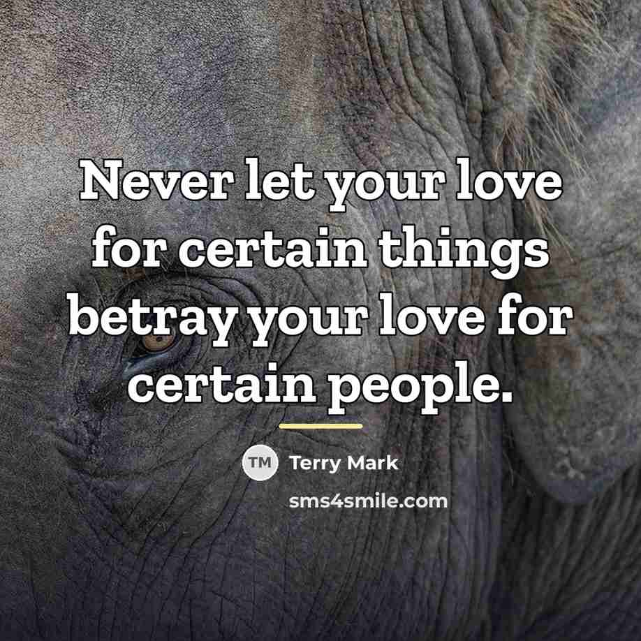 “Never let your love for certain things betray your love…” quote by Terry Mark