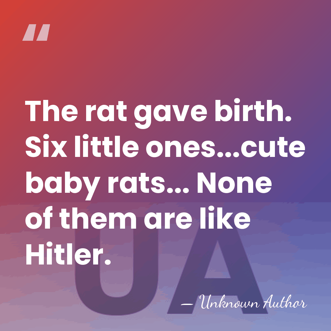 The rat gave birth. Six little ones...cute baby rats... None of them&hellip; - Unknown Author