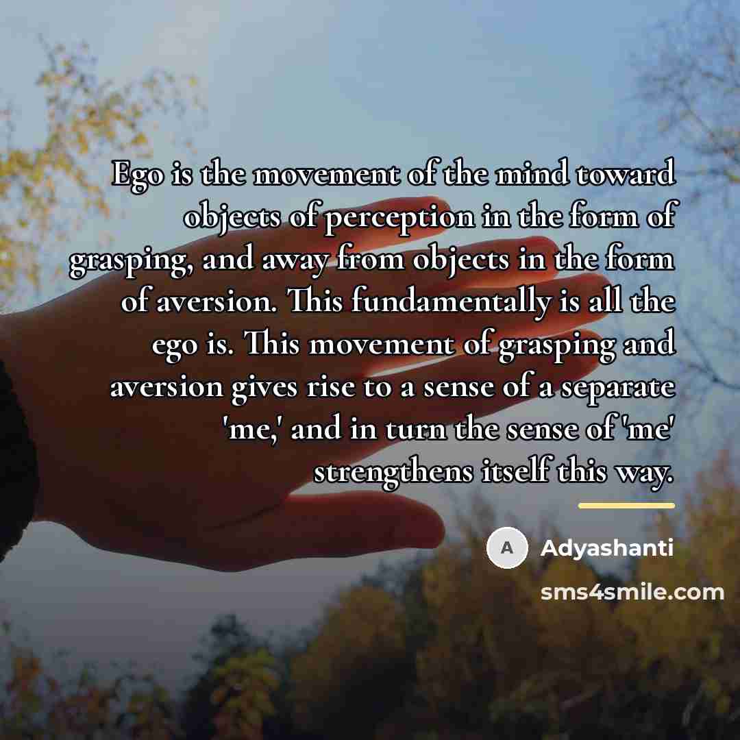 “Ego is the movement of the mind toward objects of…” quote by Adyashanti