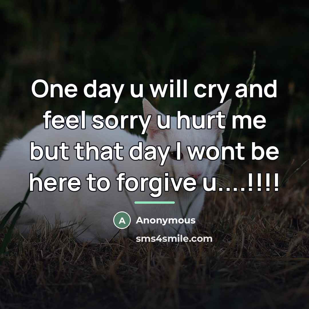 “One day u will cry and feel sorry u hurt…” quote by Anonymous