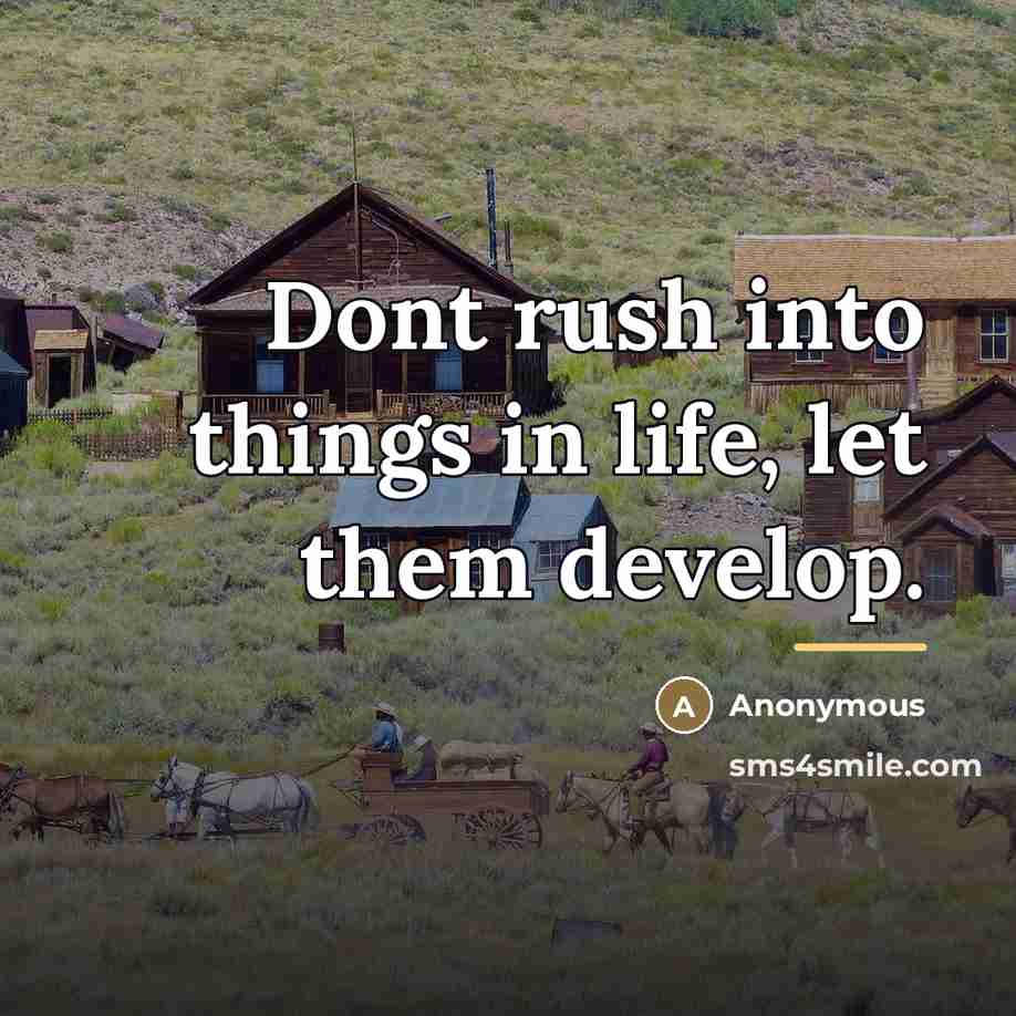 “Dont rush into things in life, let them develop.…” quote by Anonymous