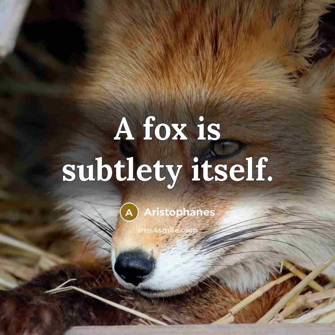 “A fox is subtlety itself.…” quote by Aristophanes