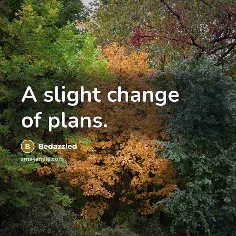 “A slight change of plans.” quote by Bedazzled