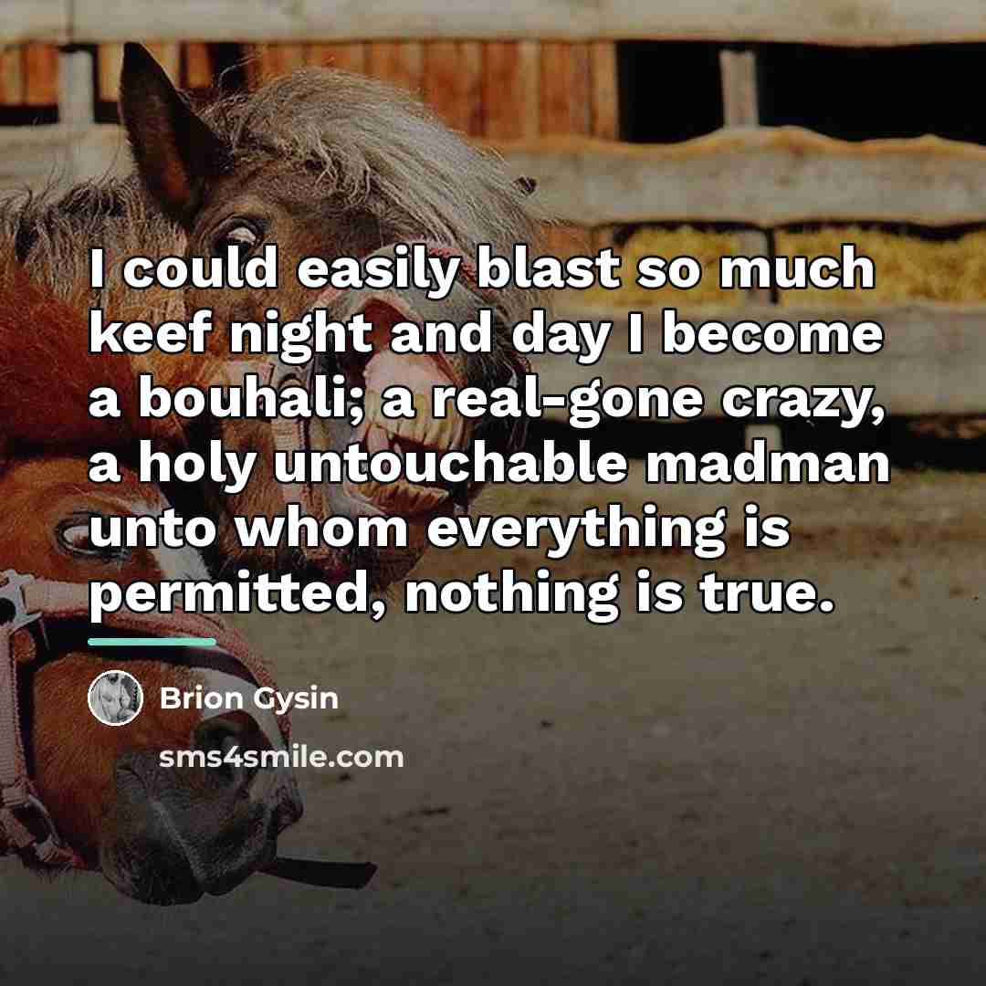 “I could easily blast so much keef night and day…” quote by Brion Gysin
