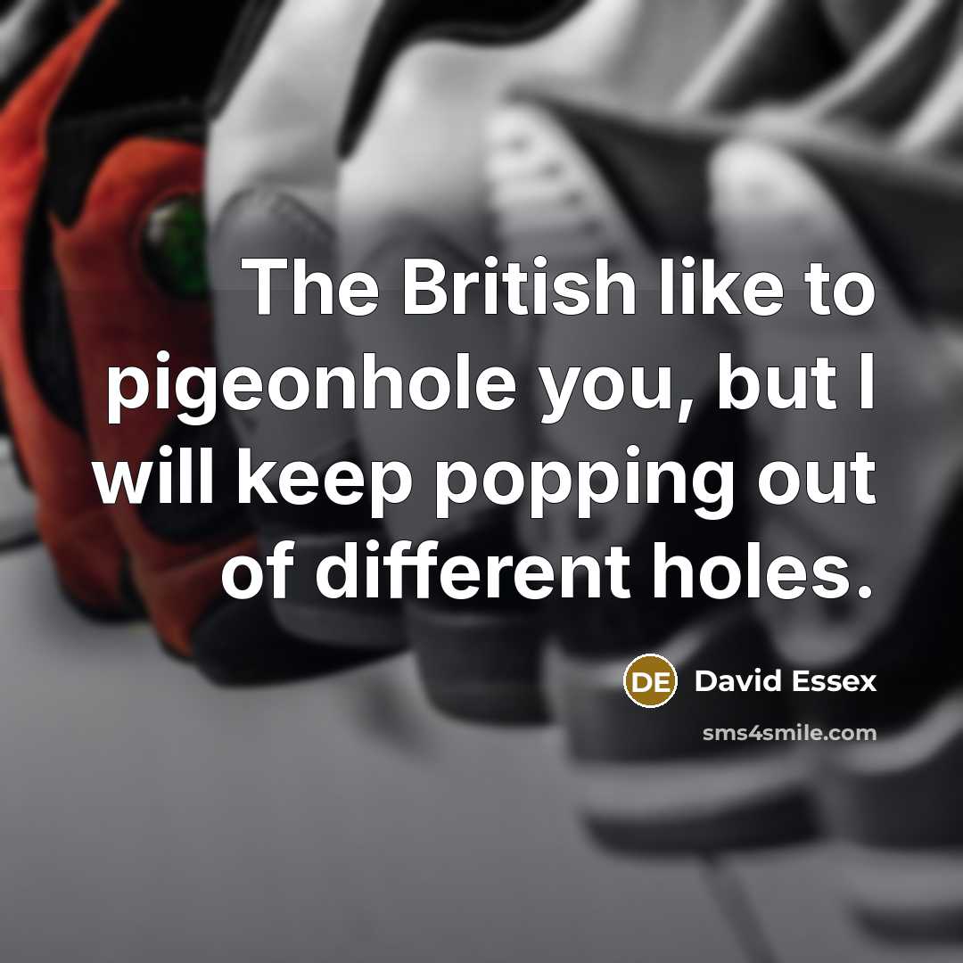 “The British like to pigeonhole you, but I will keep…” quote by David Essex