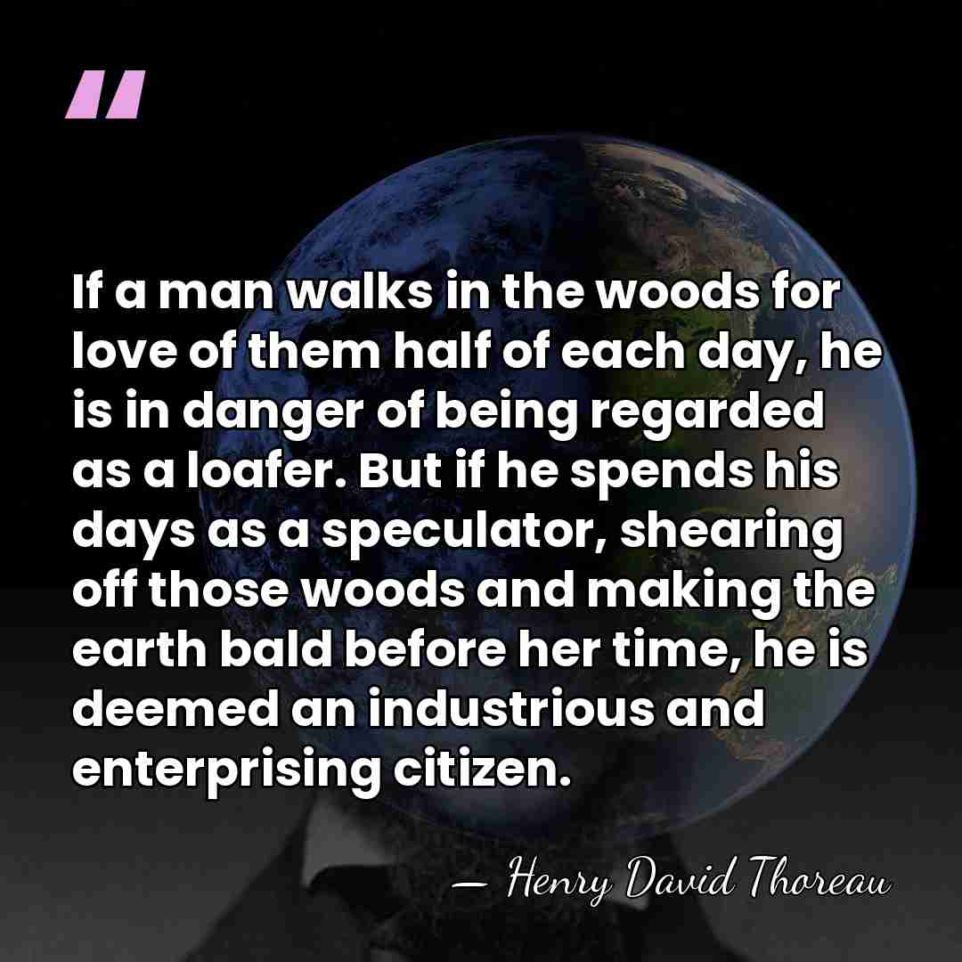 If a man walks in the woods for love of them half&hellip; - Henry David Thoreau