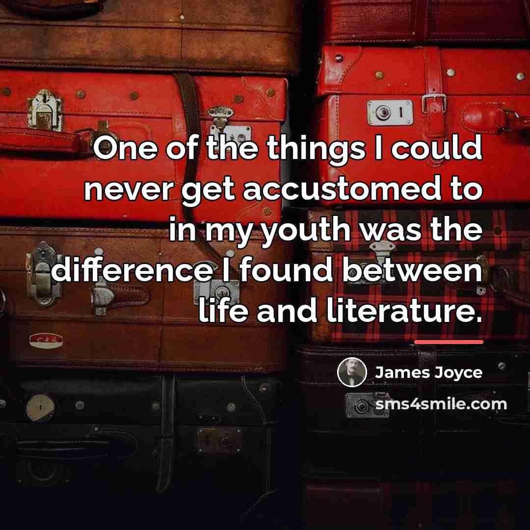 “One of the things I could never get accustomed to…” quote by James Joyce