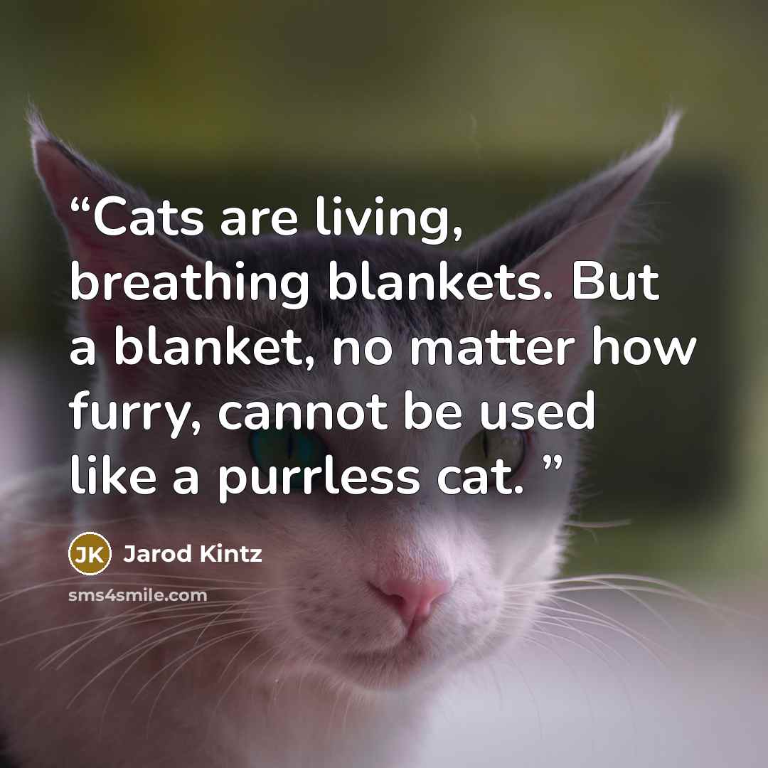 “Cats are living, breathing blankets. But a blanket, no matter how furry, cannot be used like a purrless cat.” quote by Jarod Kintz