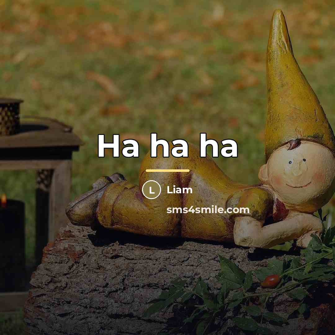 “Ha ha ha…” quote by Anonymous