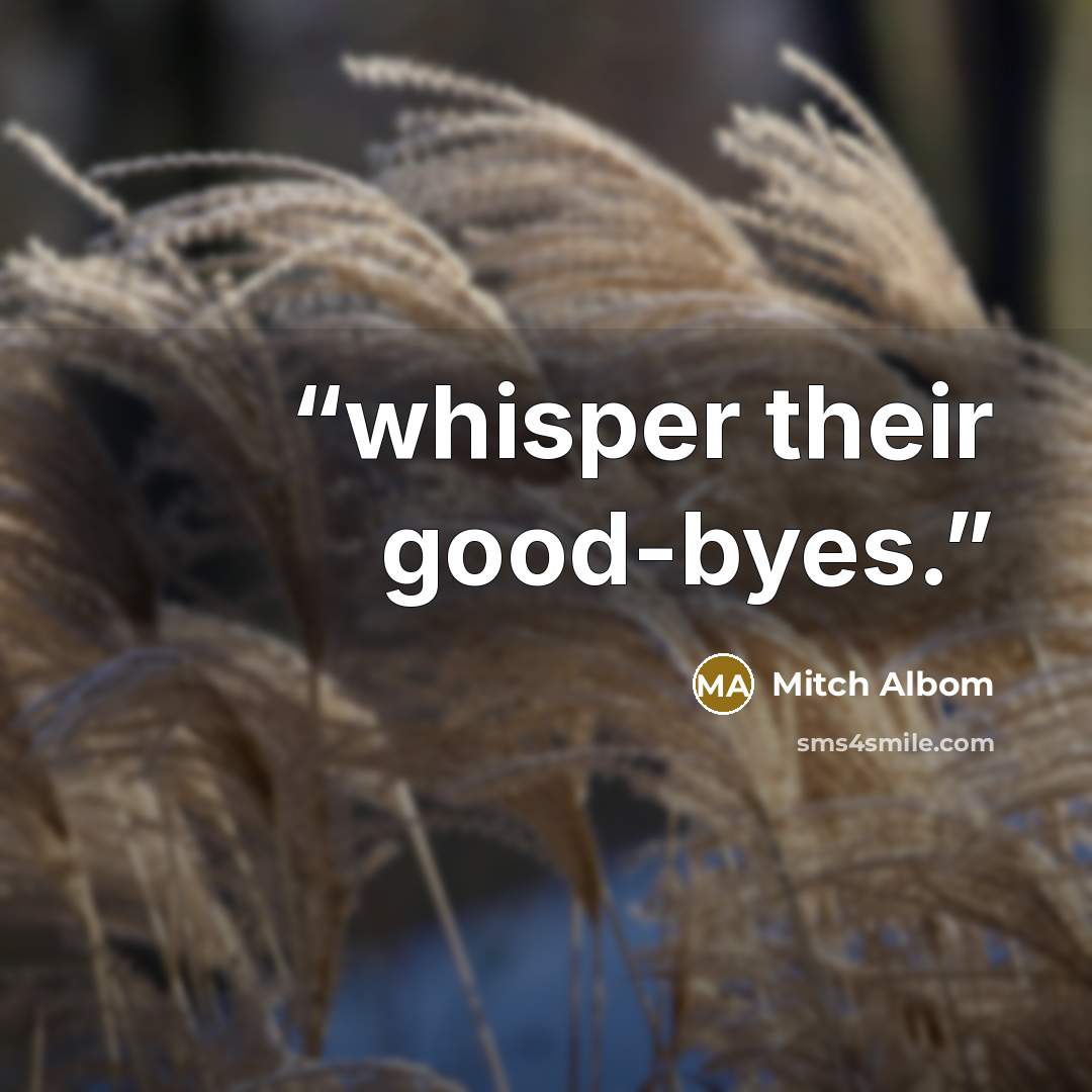 “whisper their good-byes.” quote by Mitch Albom
