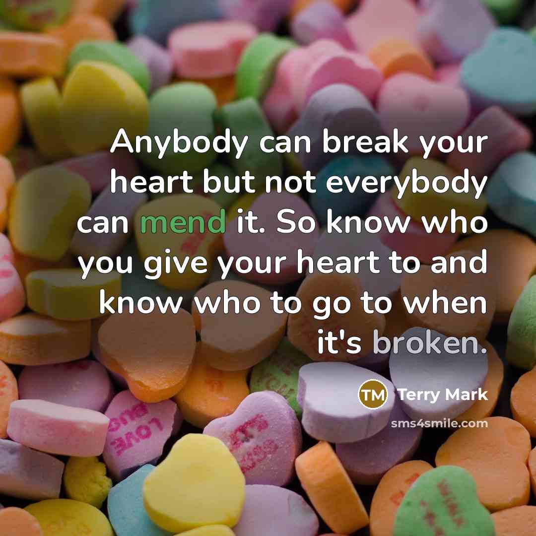 “Anybody can break your heart but not everybody can mend…” quote by Terry Mark