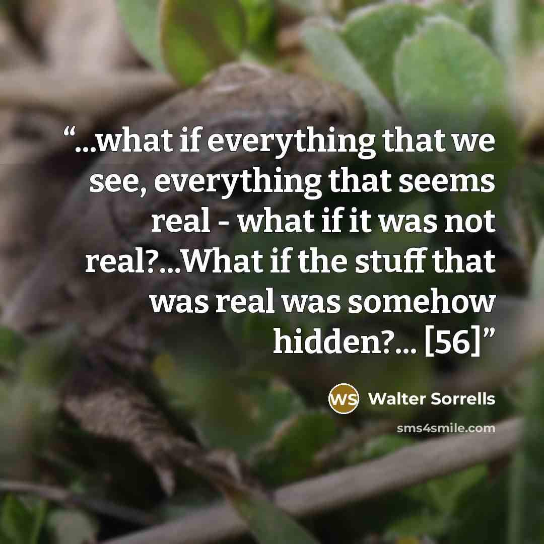 “...what if everything that we see, everything that seems real - what if it was not real?...What if the stuff that was real was somehow hidden?... [56]” quote by Walter Sorrells