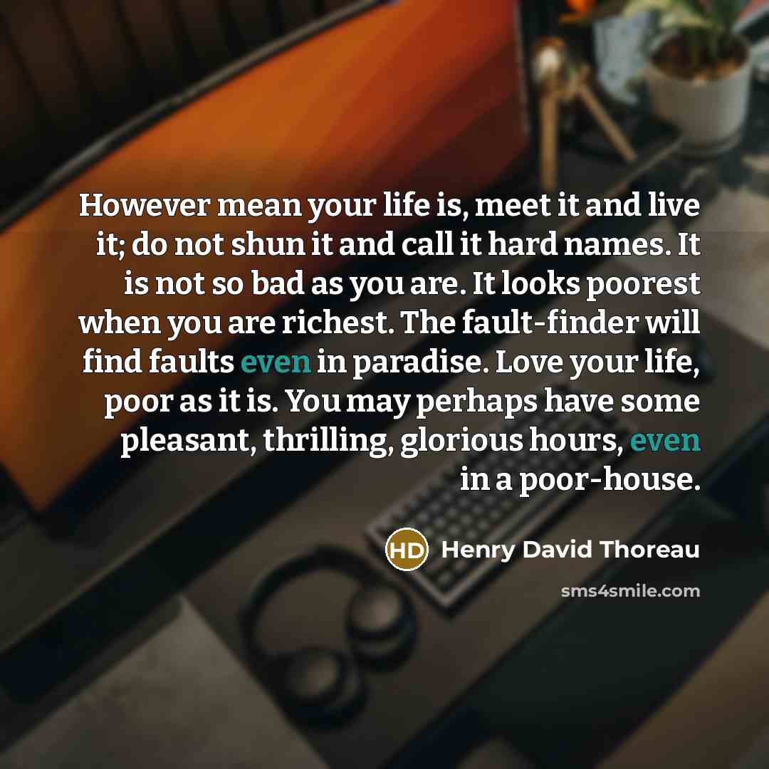 “However mean your life is, meet it and live it;…” quote by Henry David Thoreau