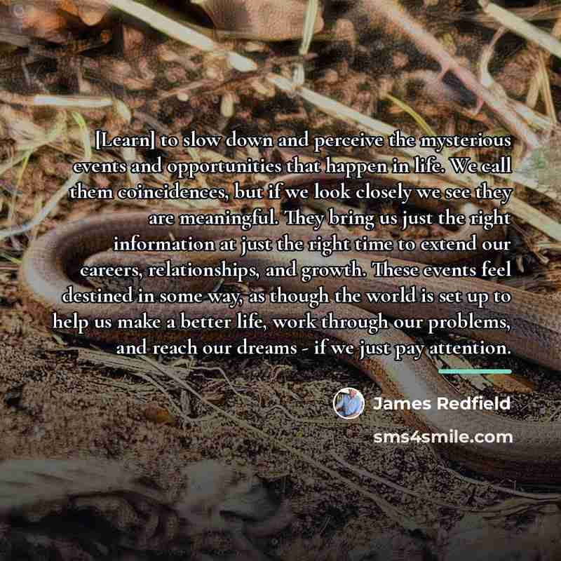 “[Learn] to slow down and perceive the mysterious events and…” quote by James Redfield